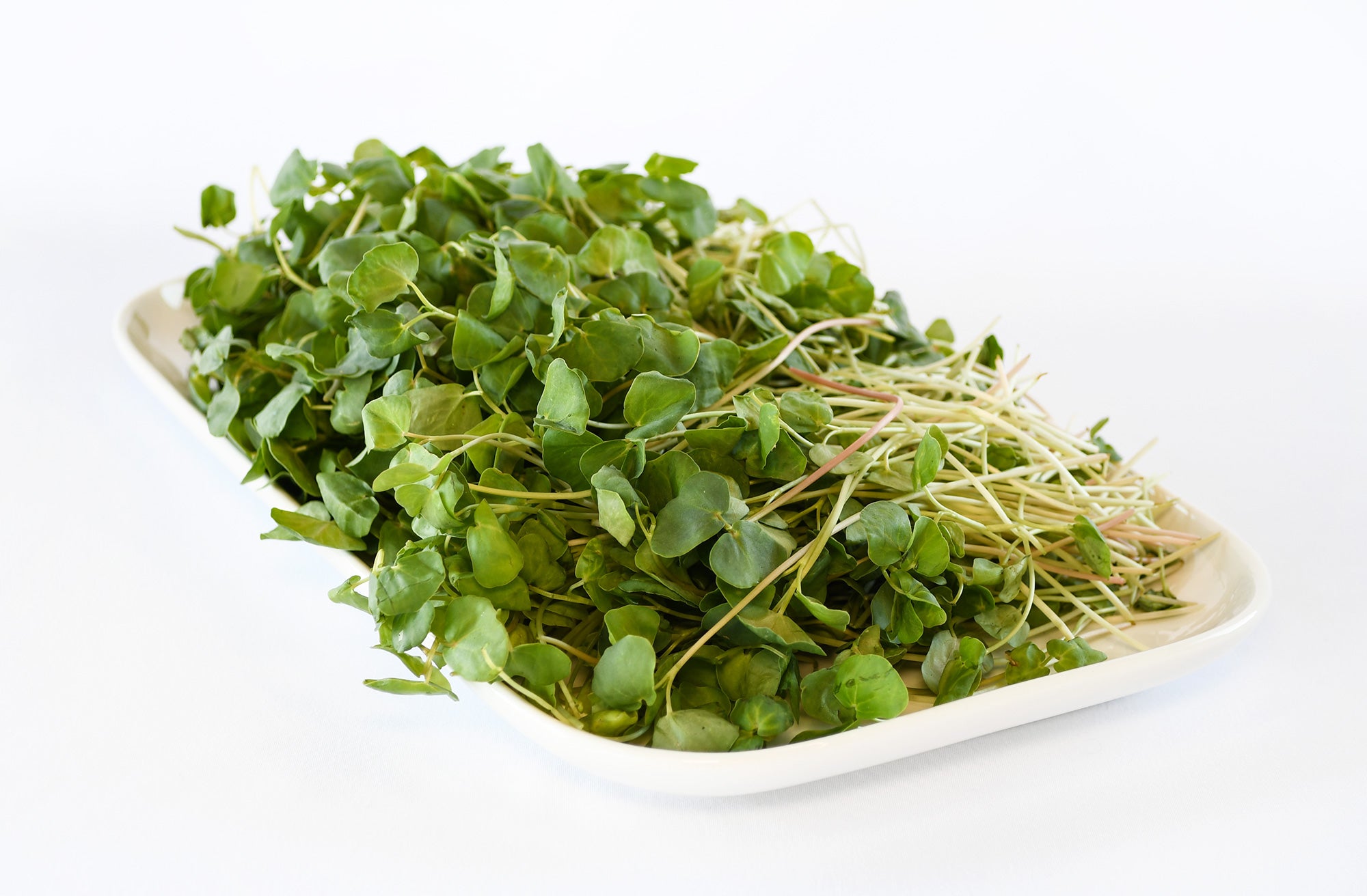Organic Buckwheat Microgreens