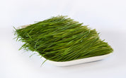 Organic Wheatgrass