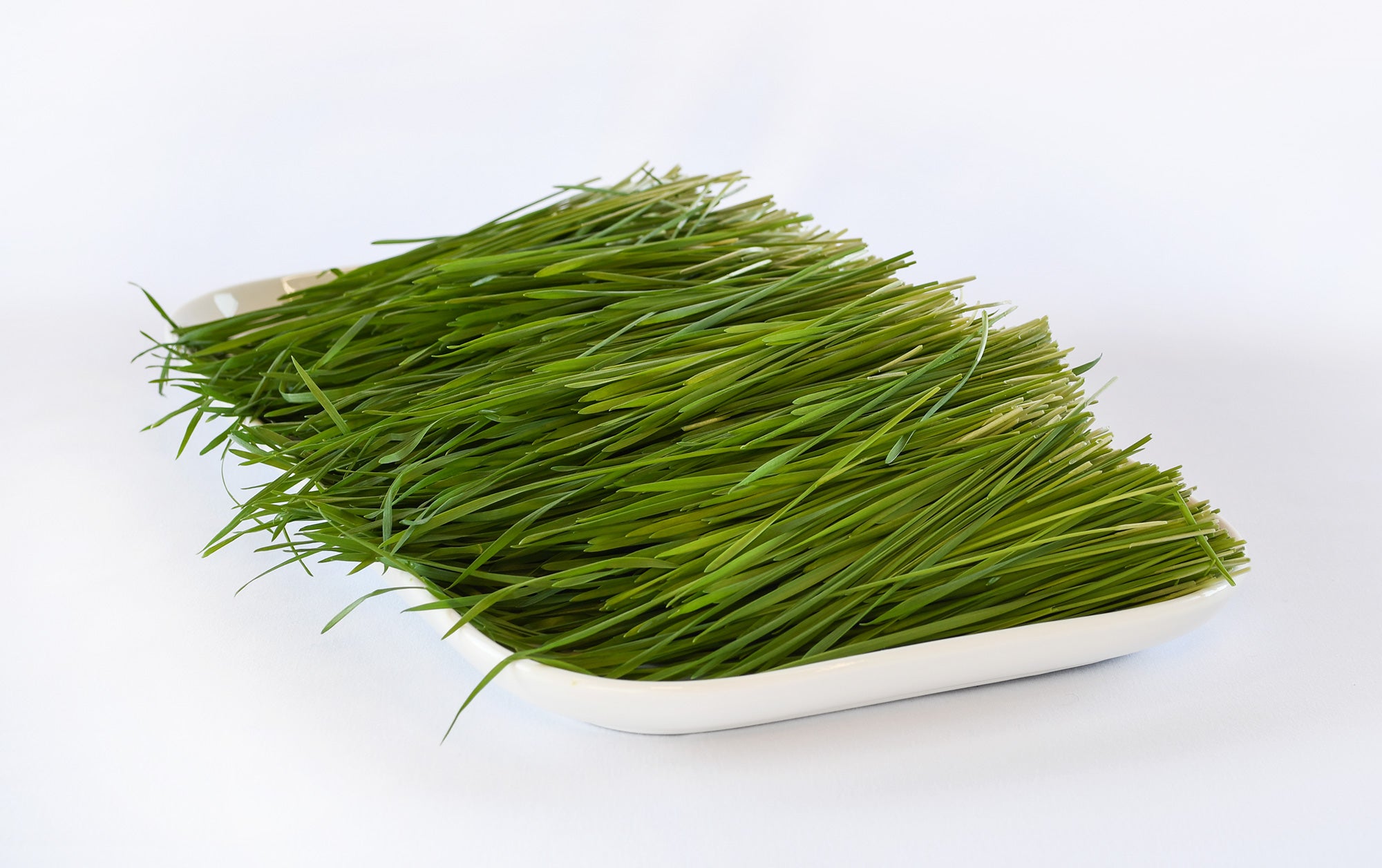 Organic Wheatgrass
