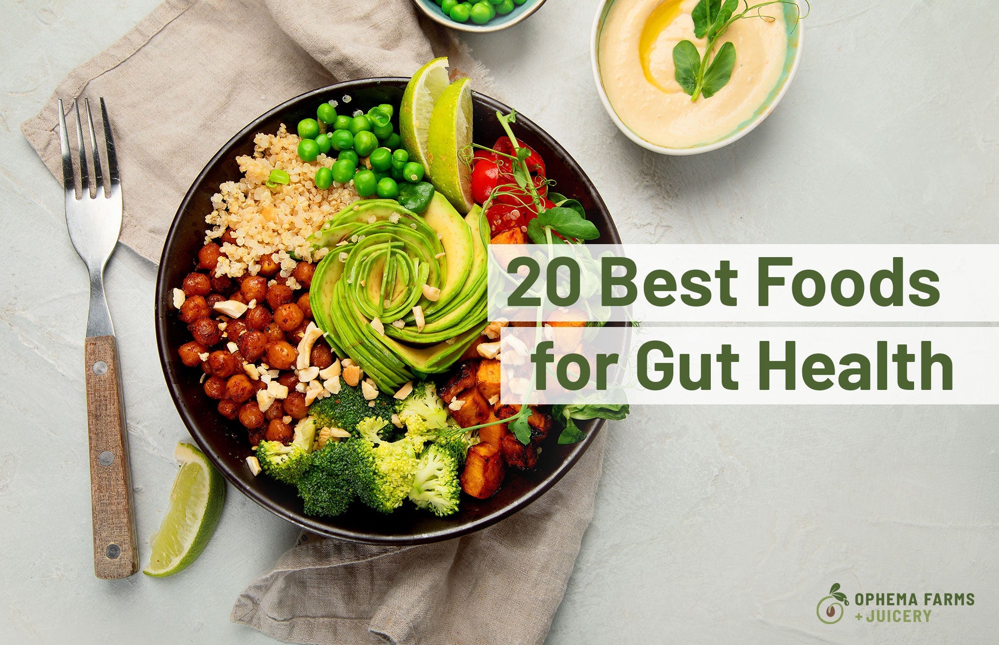 A bowl of gut healthy plant foods