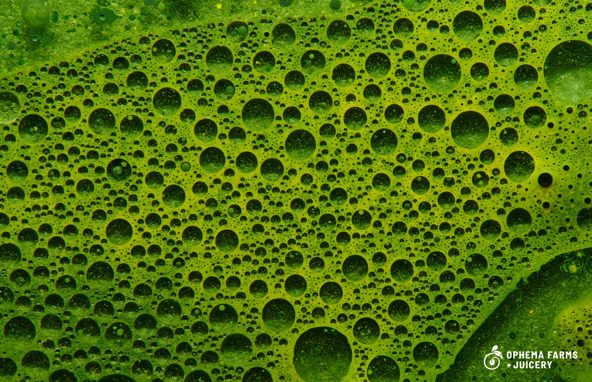 What Does Chlorophyll Really Do for the Body? - Ophema Farms + Juicery
