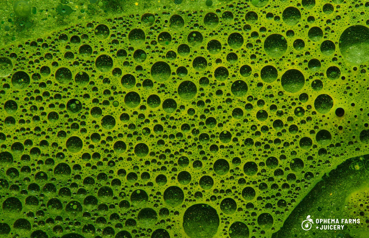 What Does Chlorophyll Really Do for the Body? - Ophema Farms + Juicery