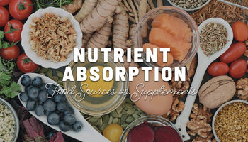Nutrient Absorption: Food Sources Vs. Supplements - Ophema Farms + Juicery