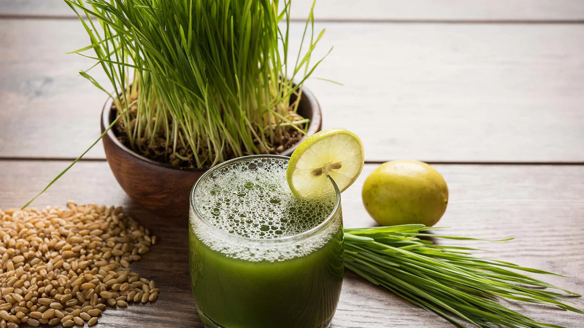 Wheatgrass: Key to a Successful Morning Routine