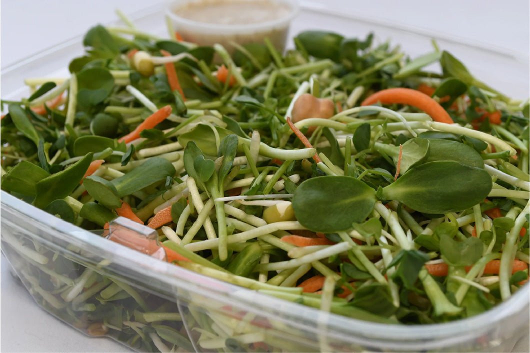 Organic Sprout Food Products - Ophema Farms + Juicery
