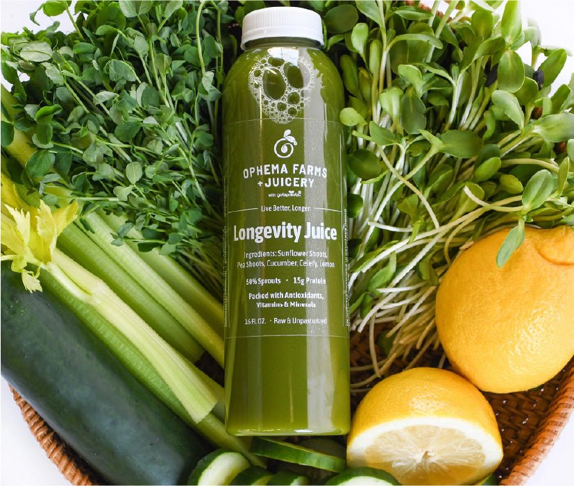Cold-Pressed Organic Sprout Juice - Ophema Farms + Juicery