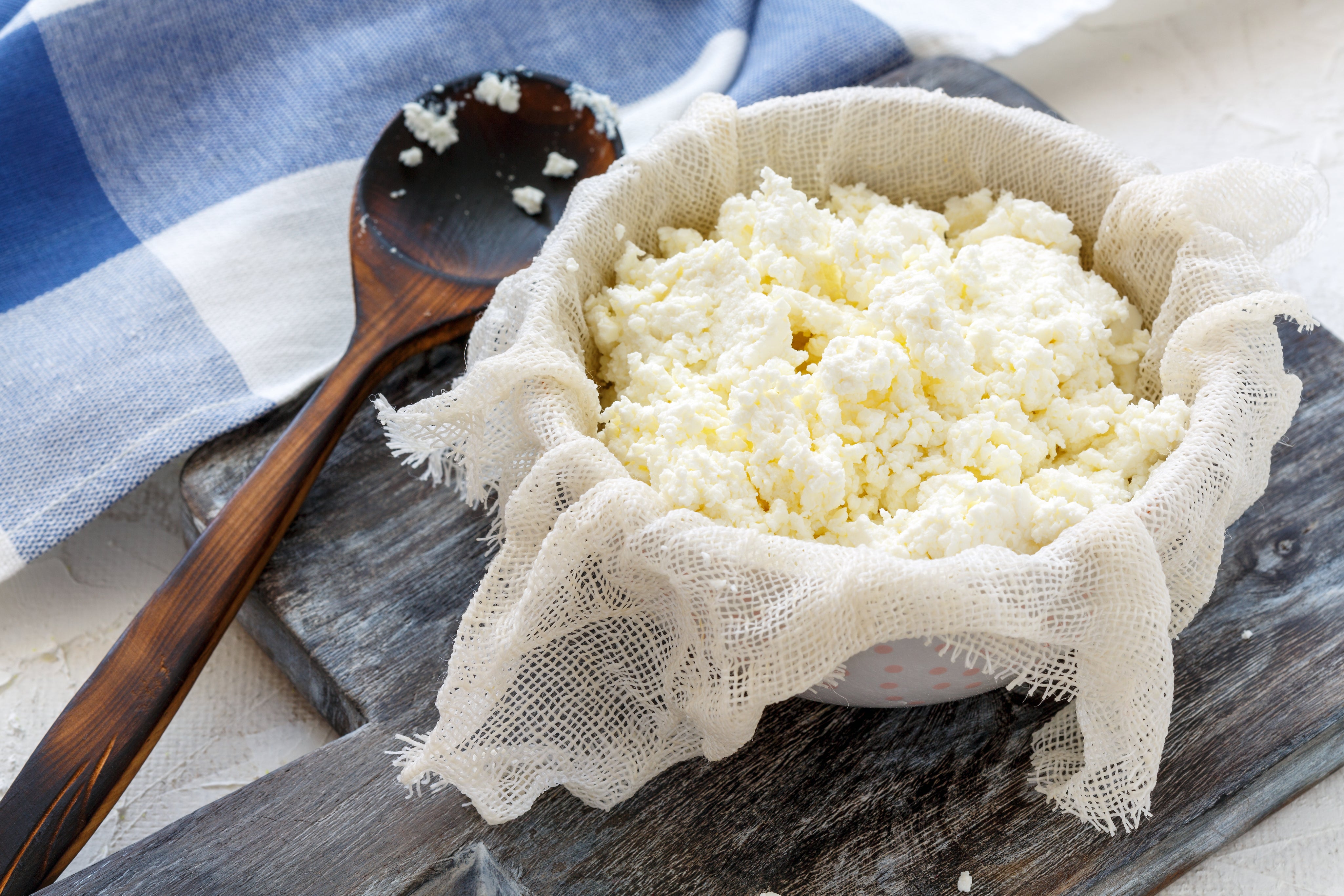 Farmer's Cheese Making
