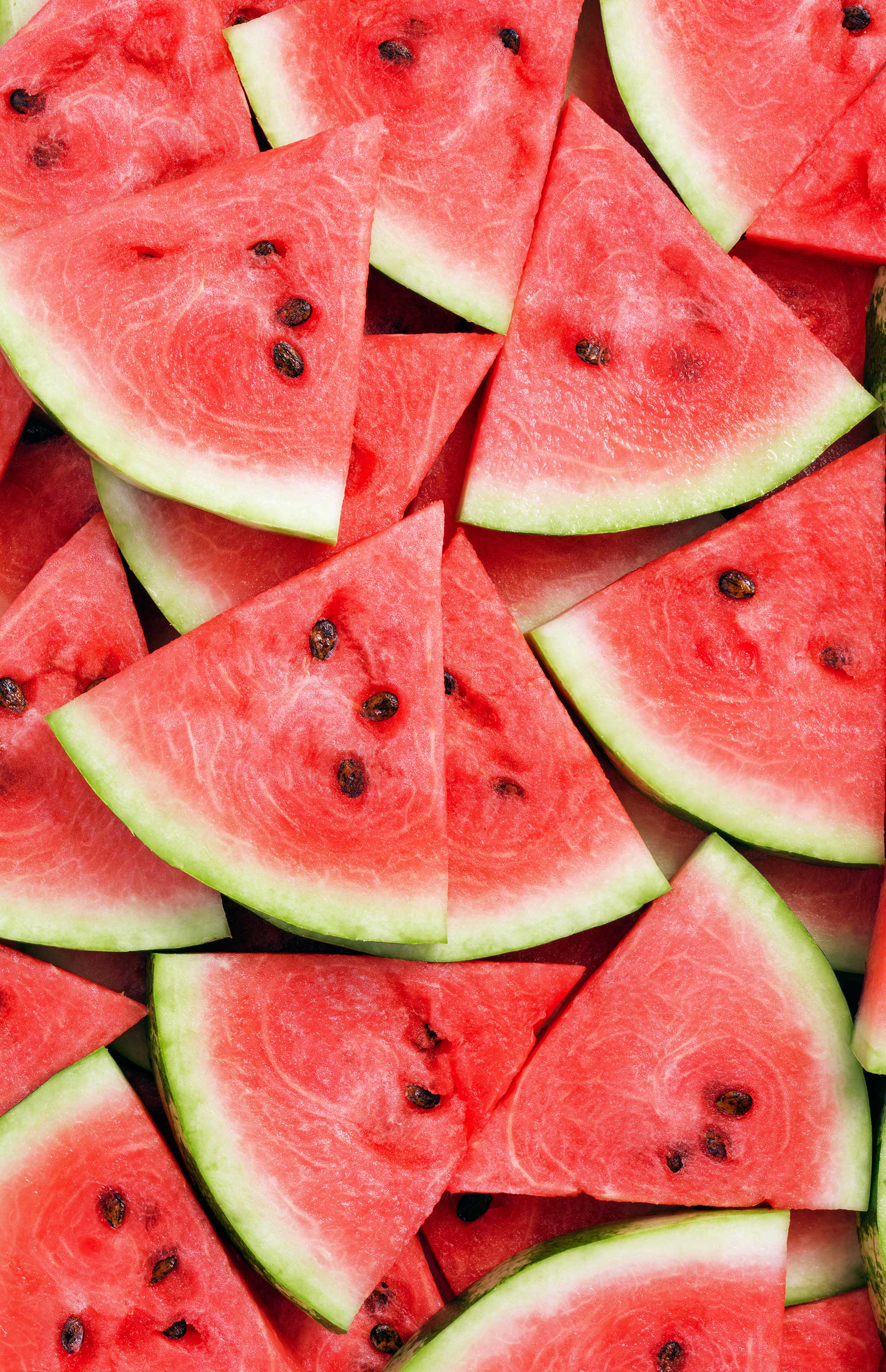 AdobeStock_246889137-_1__web.jpg