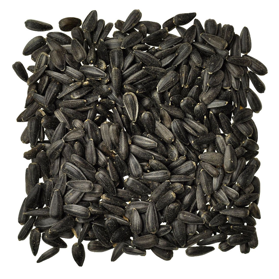 BULK SUNFLOWER SEEDS
