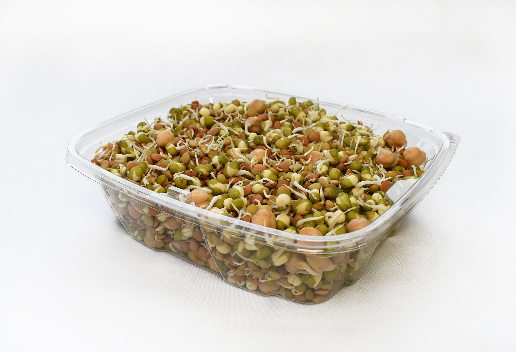 Organic Sprouted Bean Mix