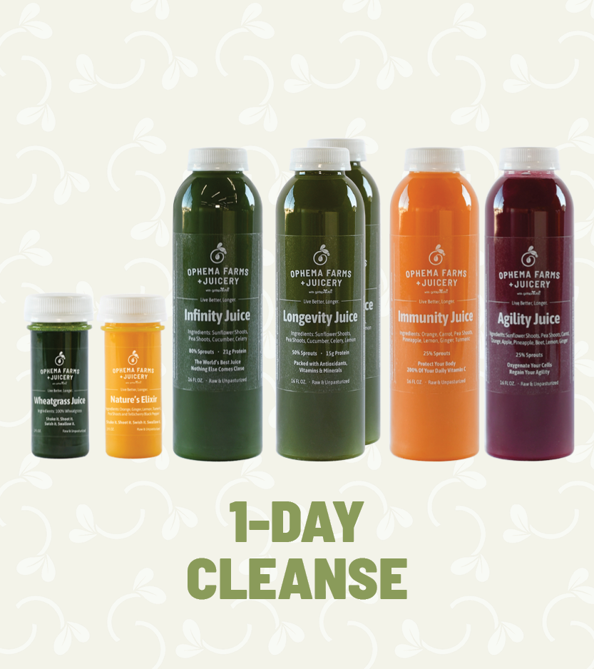 Cleanse_Packages2_95247e6c-eedb-4e7f-888c-1a72627c6347.png