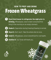 Organic Frozen Wheatgrass Juice