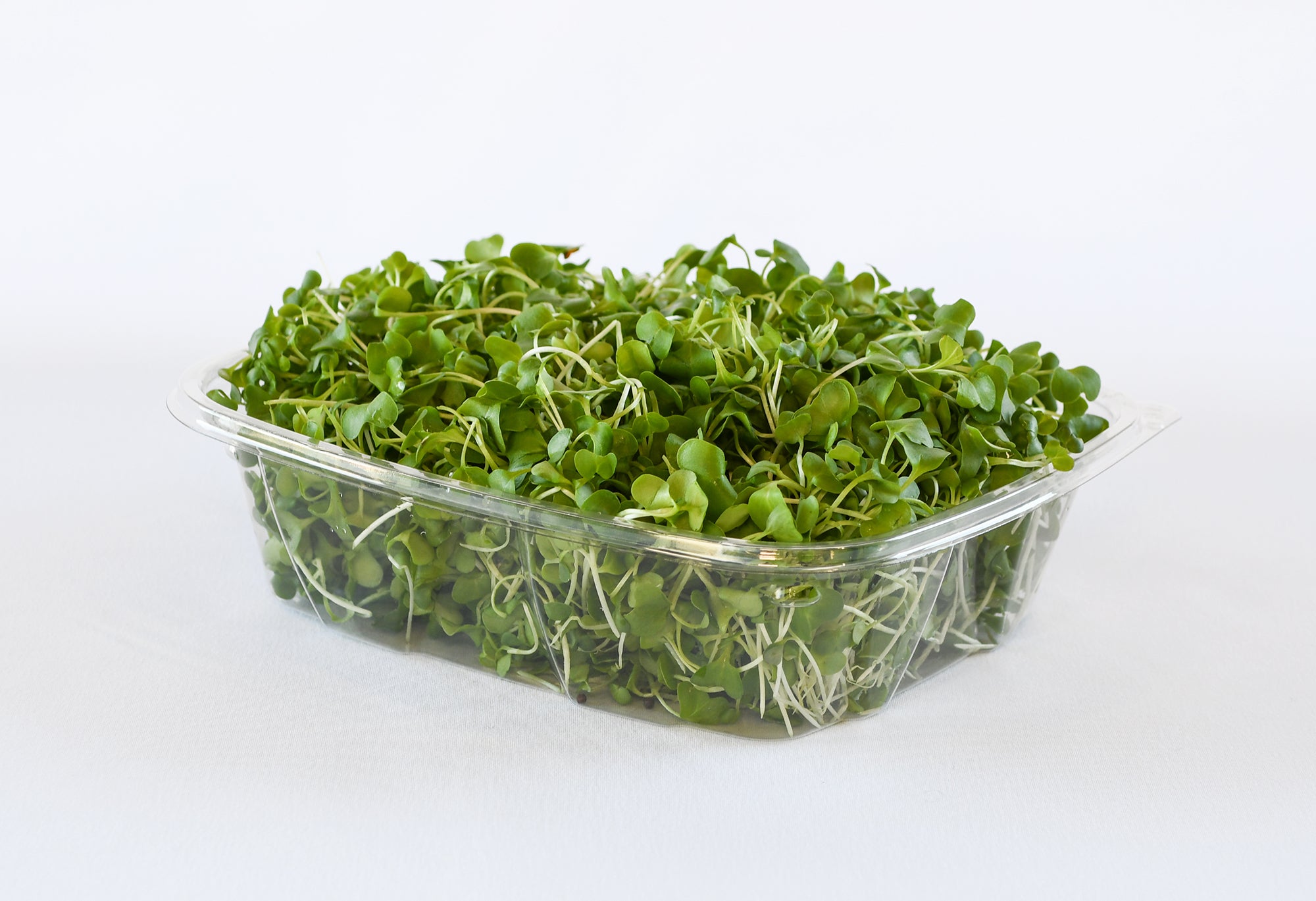 Organic Broccoli Microgreens