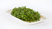 Organic Broccoli Microgreens
