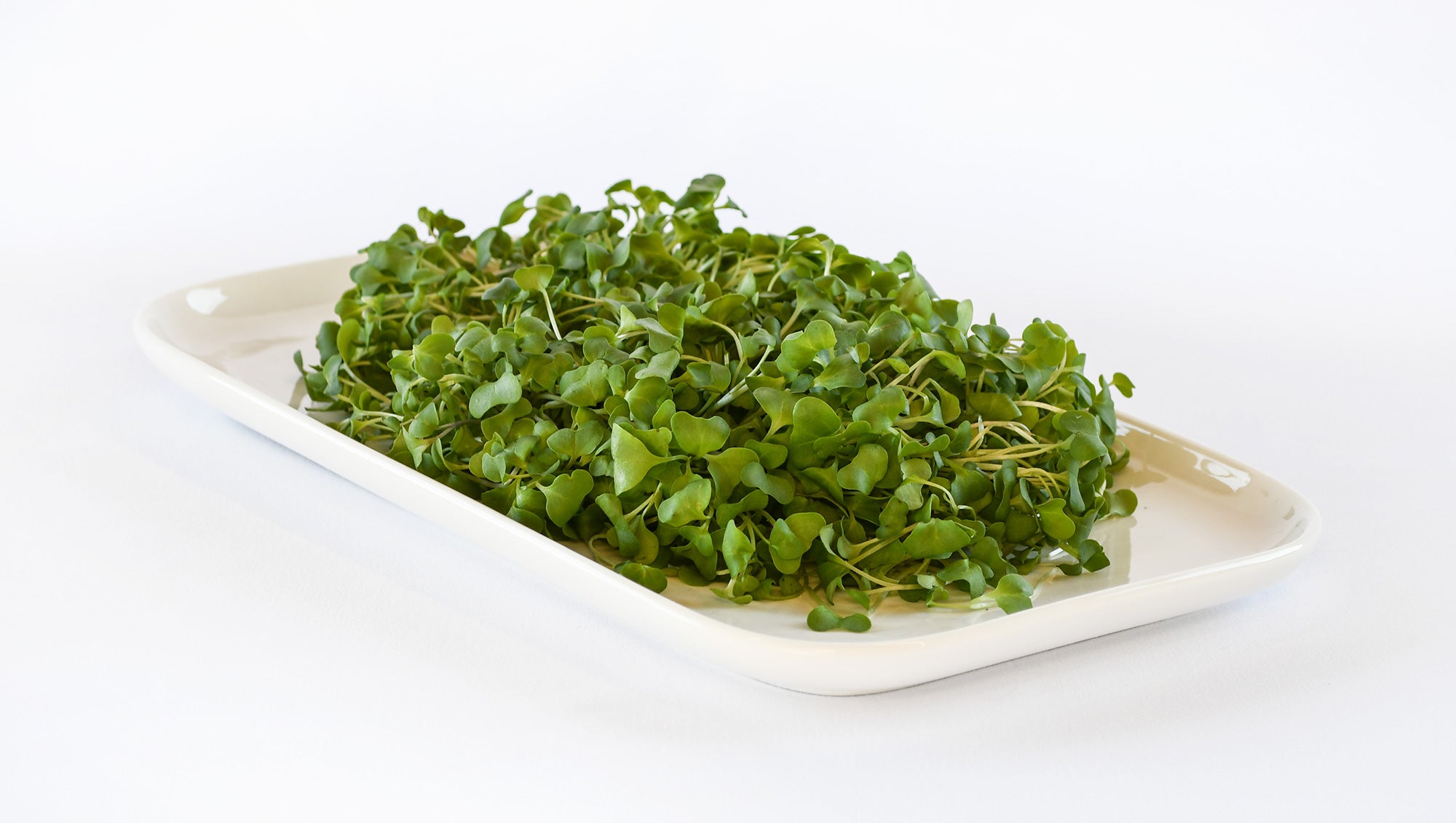 Organic Broccoli Microgreens