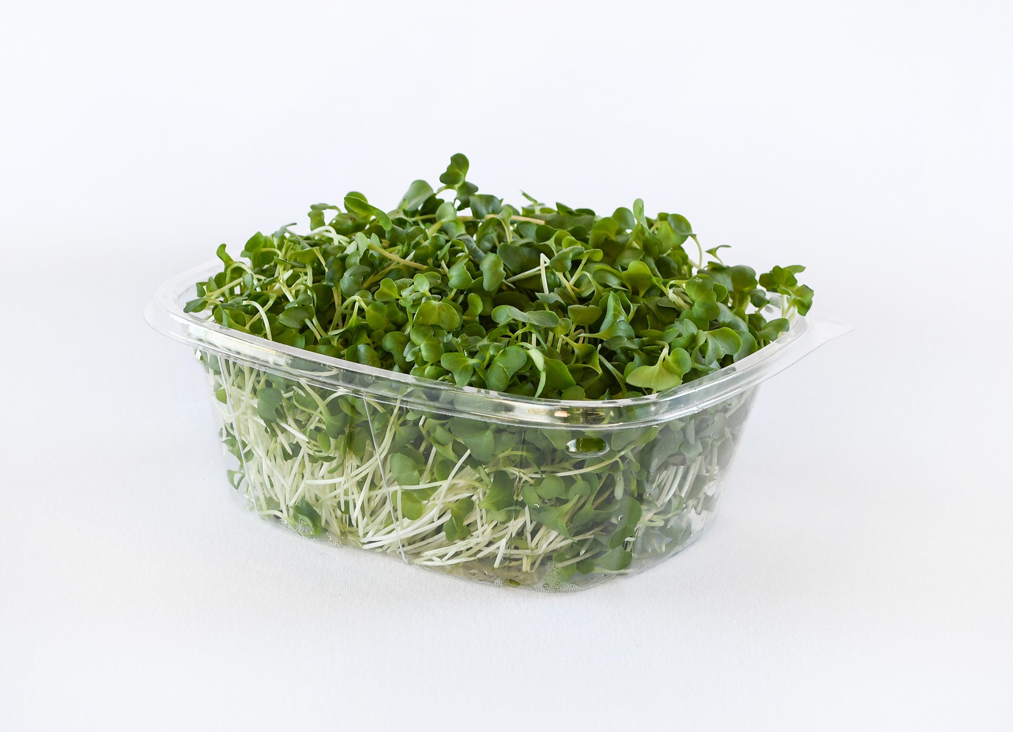 Organic Broccoli Microgreens
