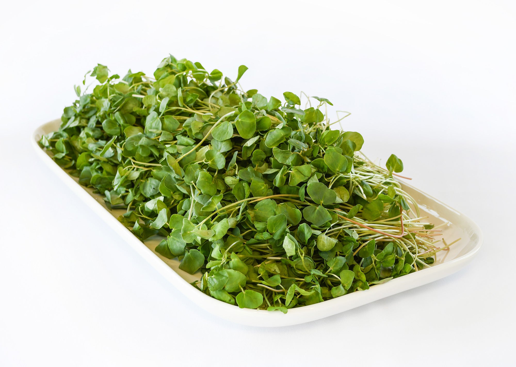 Organic Buckwheat Microgreens – Ophema Farms Juicery