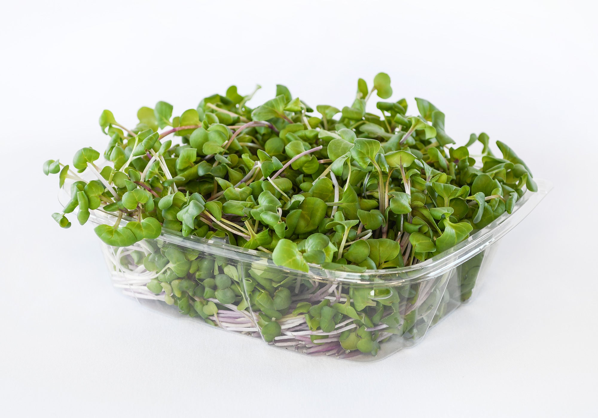 Organic Radish Microgreens