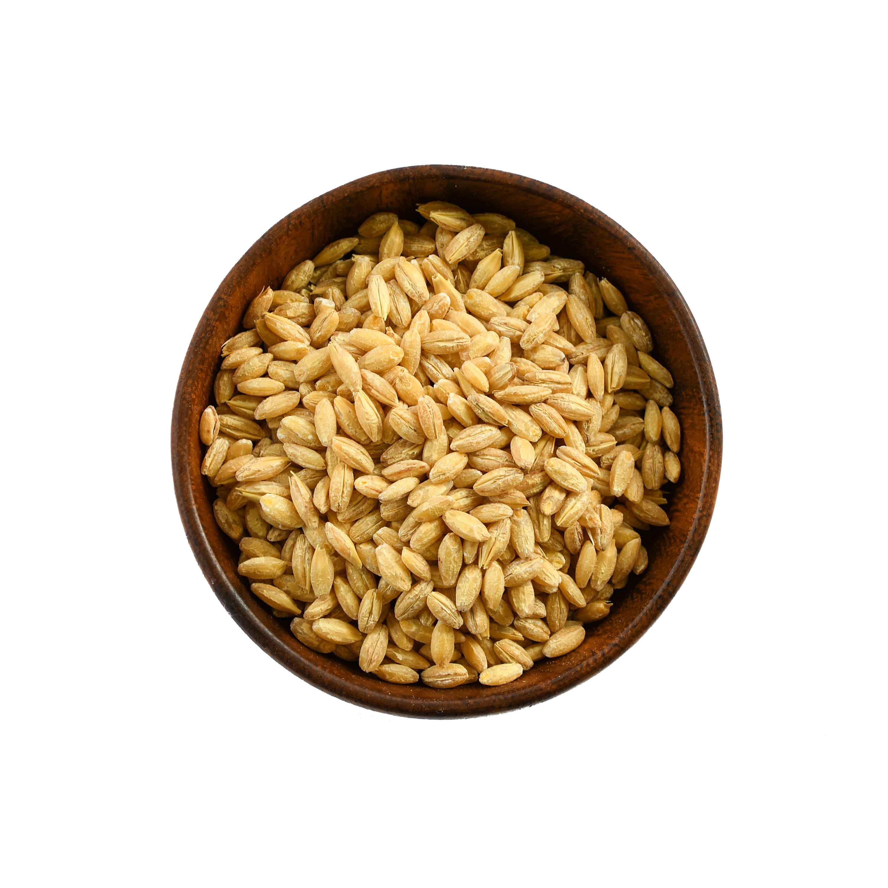 Ophema_SeedPhotos_Barley.jpg