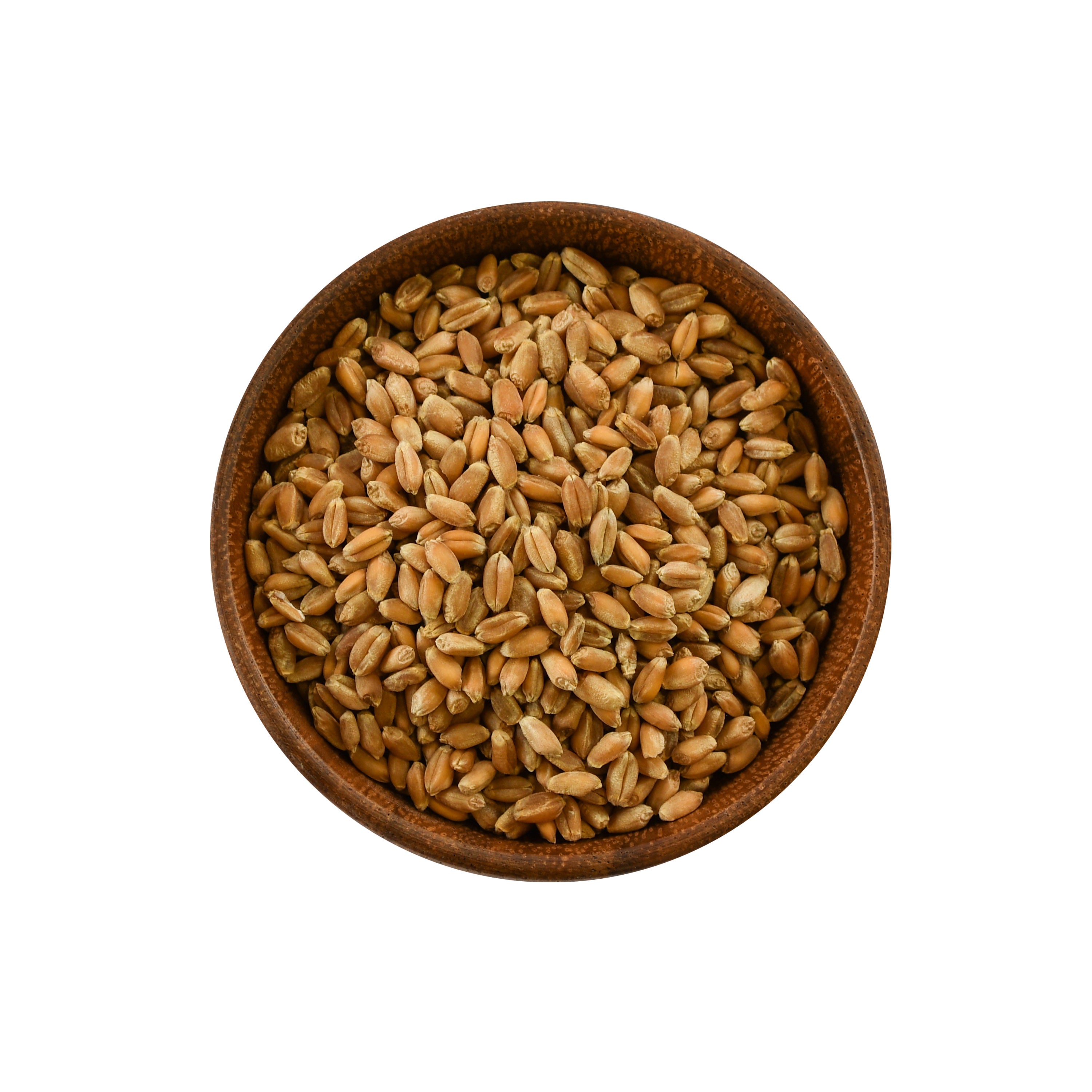 Organic Hard Red Winter Wheat Seeds (Wheatgrass)