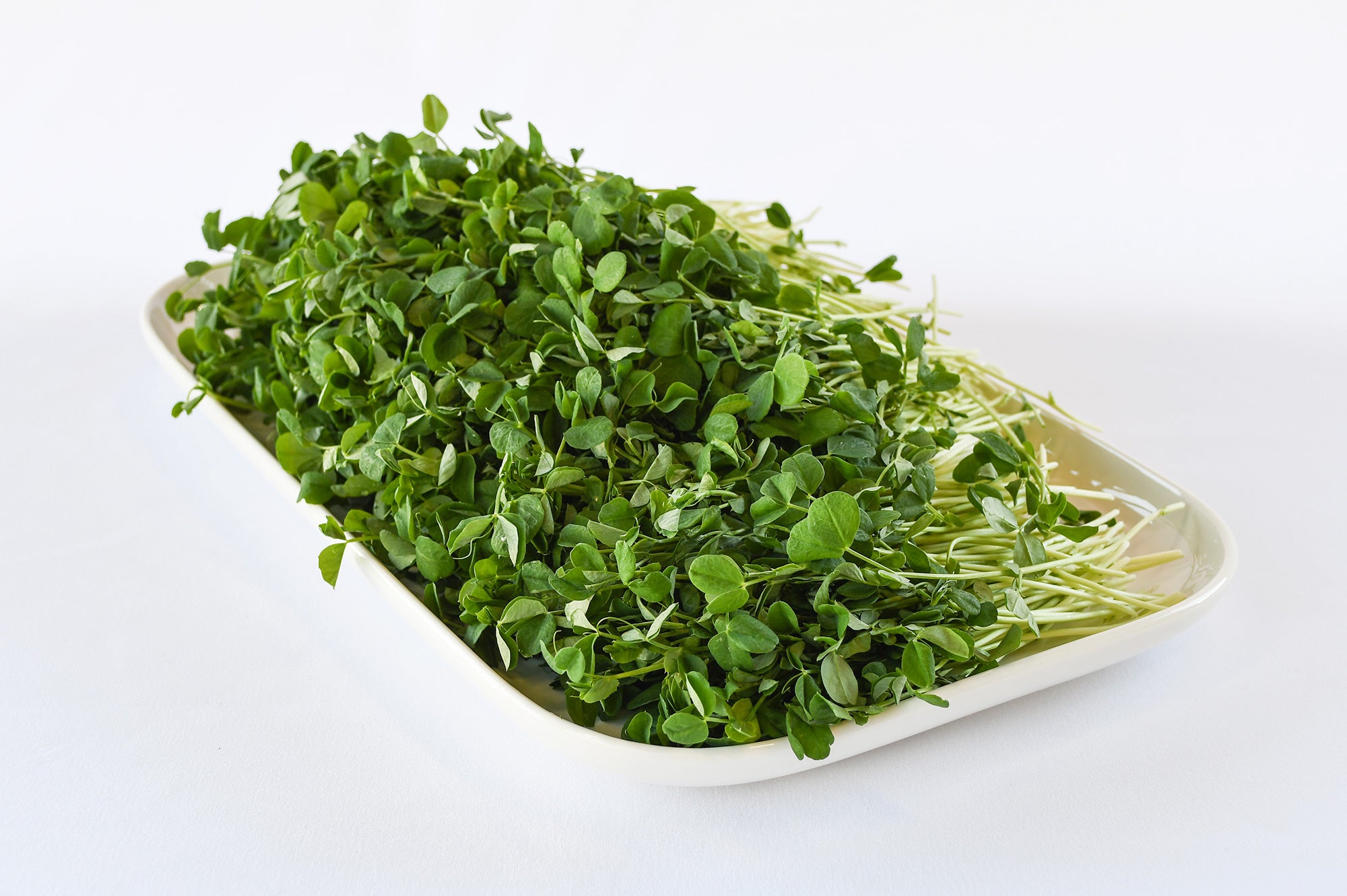 Organic Pea Shoots