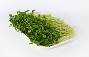 Organic Pea Shoots