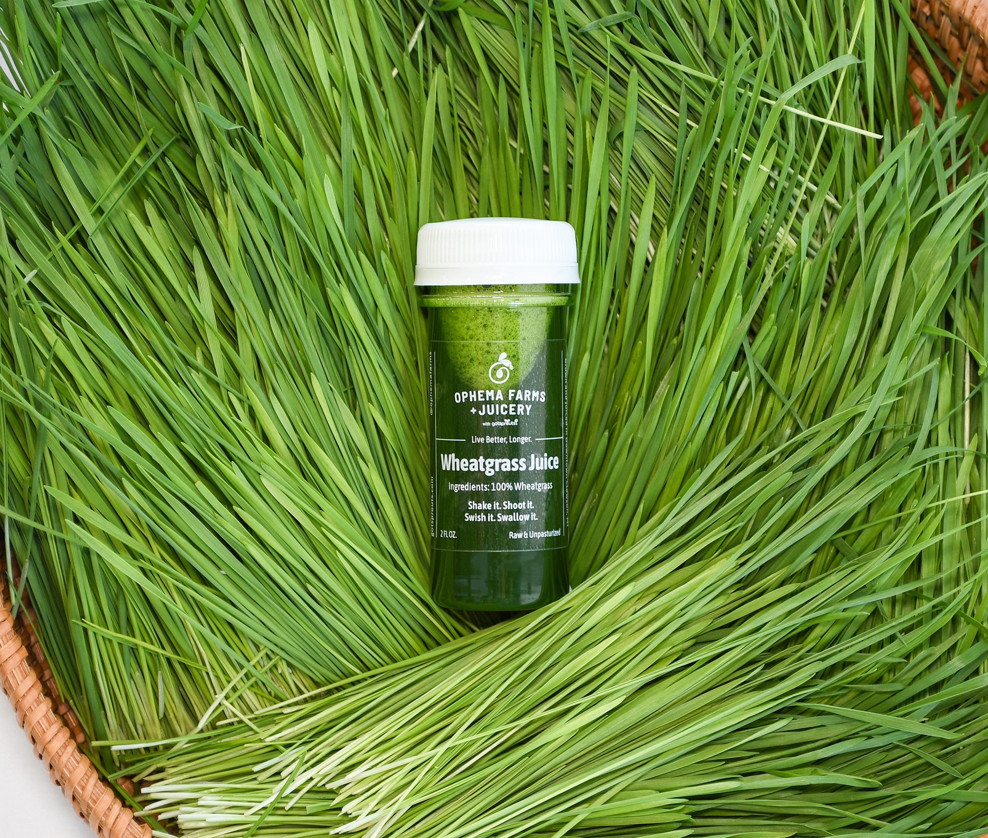 Organic Wheatgrass Juice