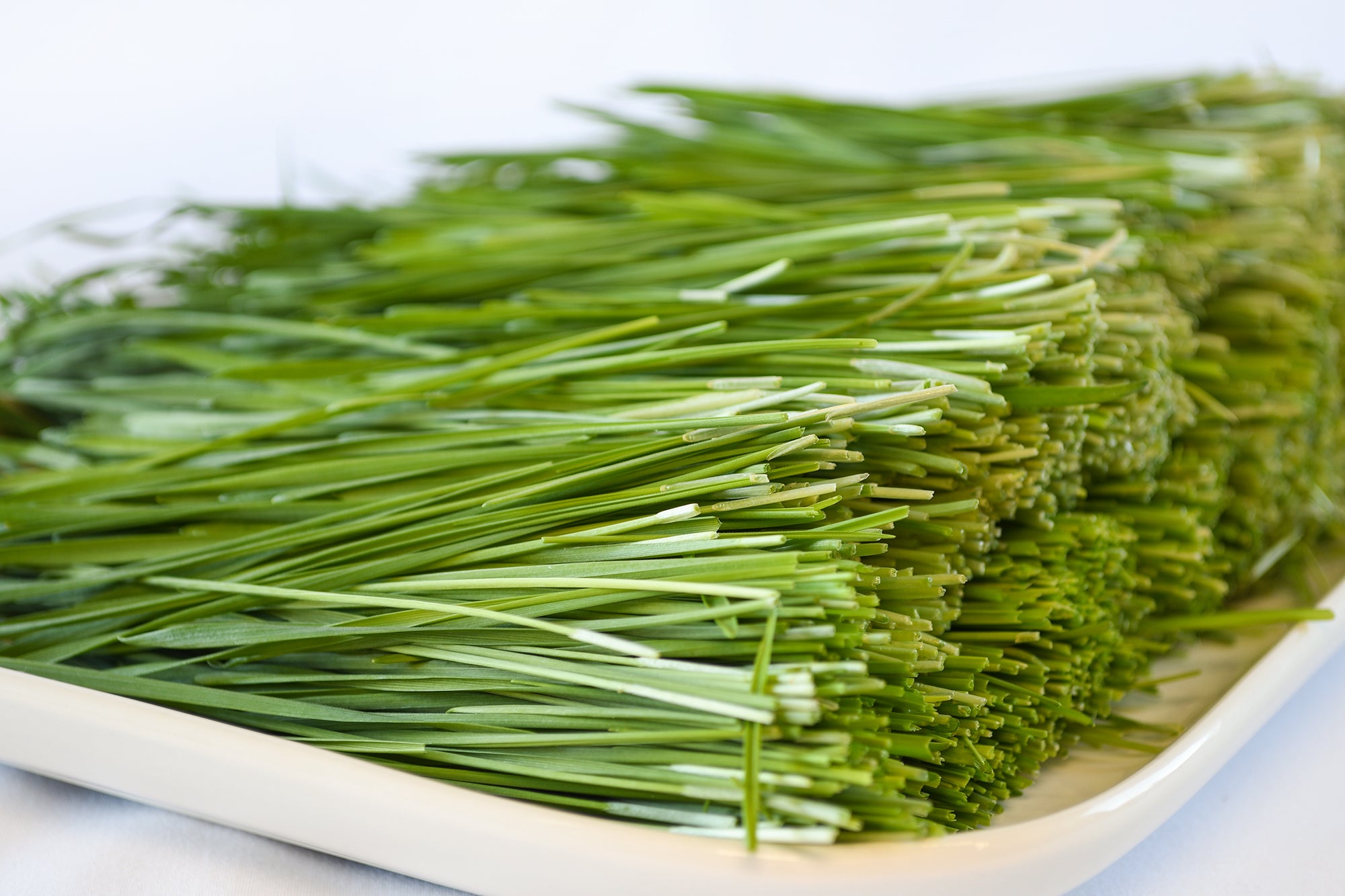 Organic Wheatgrass - Ophema Farms + Juicery