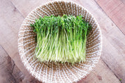 Hippocrates Wheatgrass, Sunflower and Pea Shoot Bundle