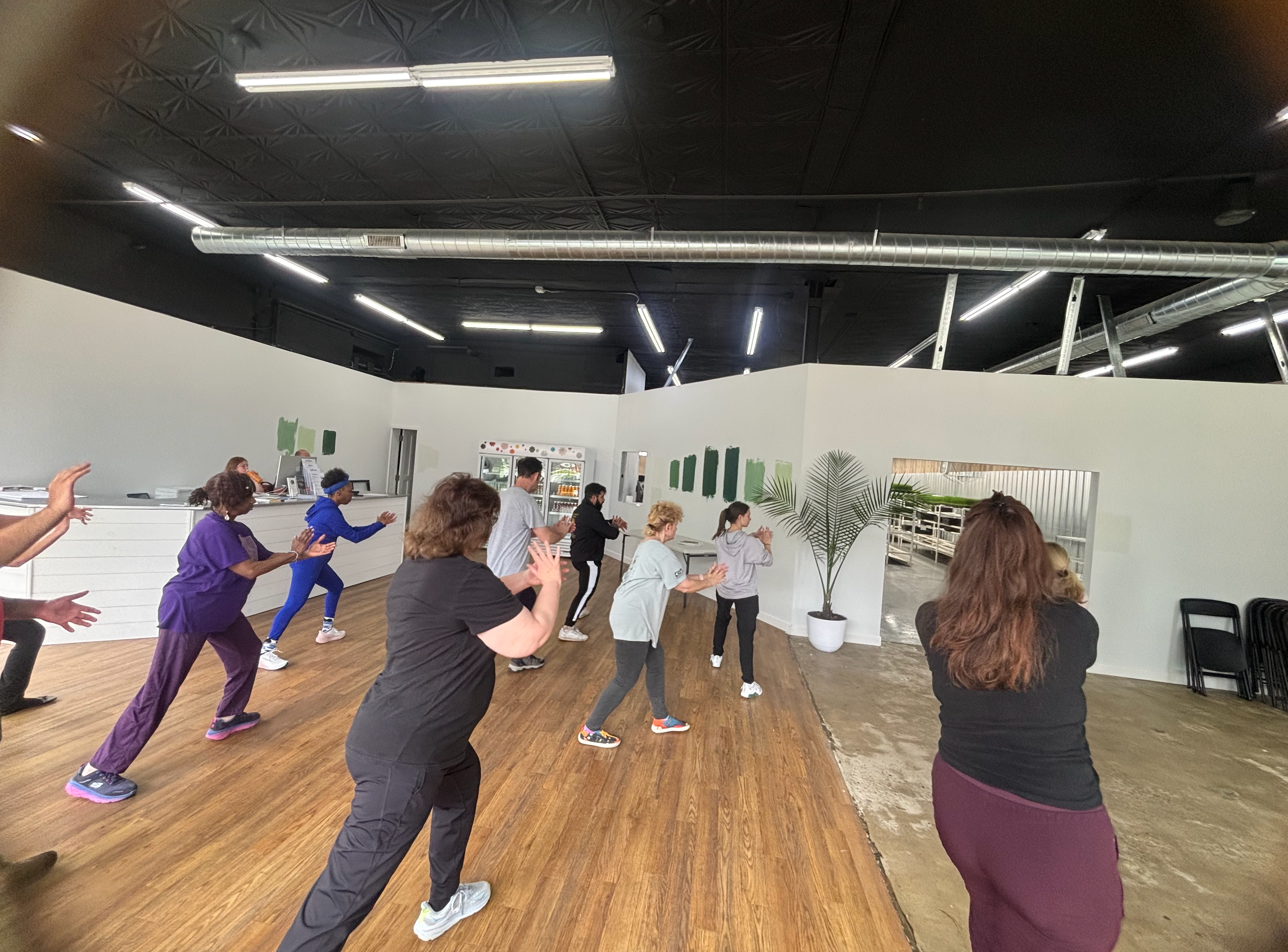 Tai Chi for Beginners