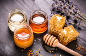 The Honey Bee Season & Honey Tasting