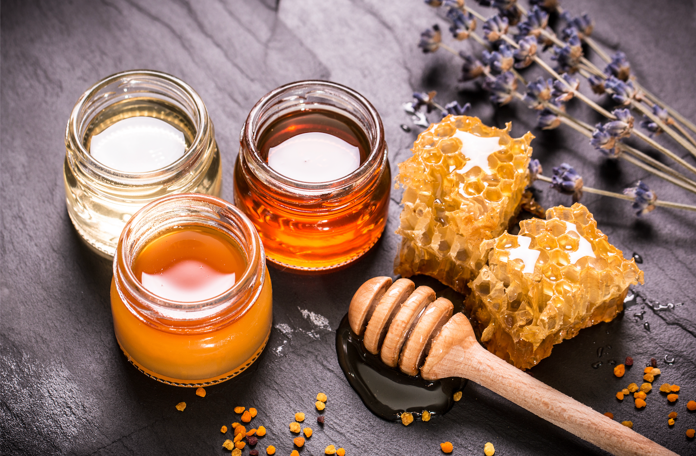 The Honey Bee Season & Honey Tasting