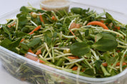 Organic Sprout Salad