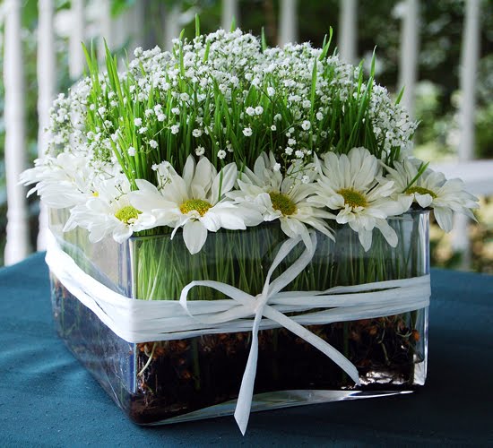 WheatgrassCenterpiece1.jpg