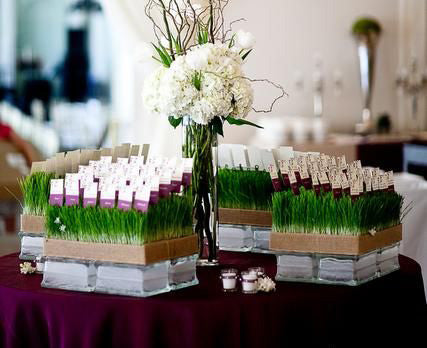 Wheatgrass Tray