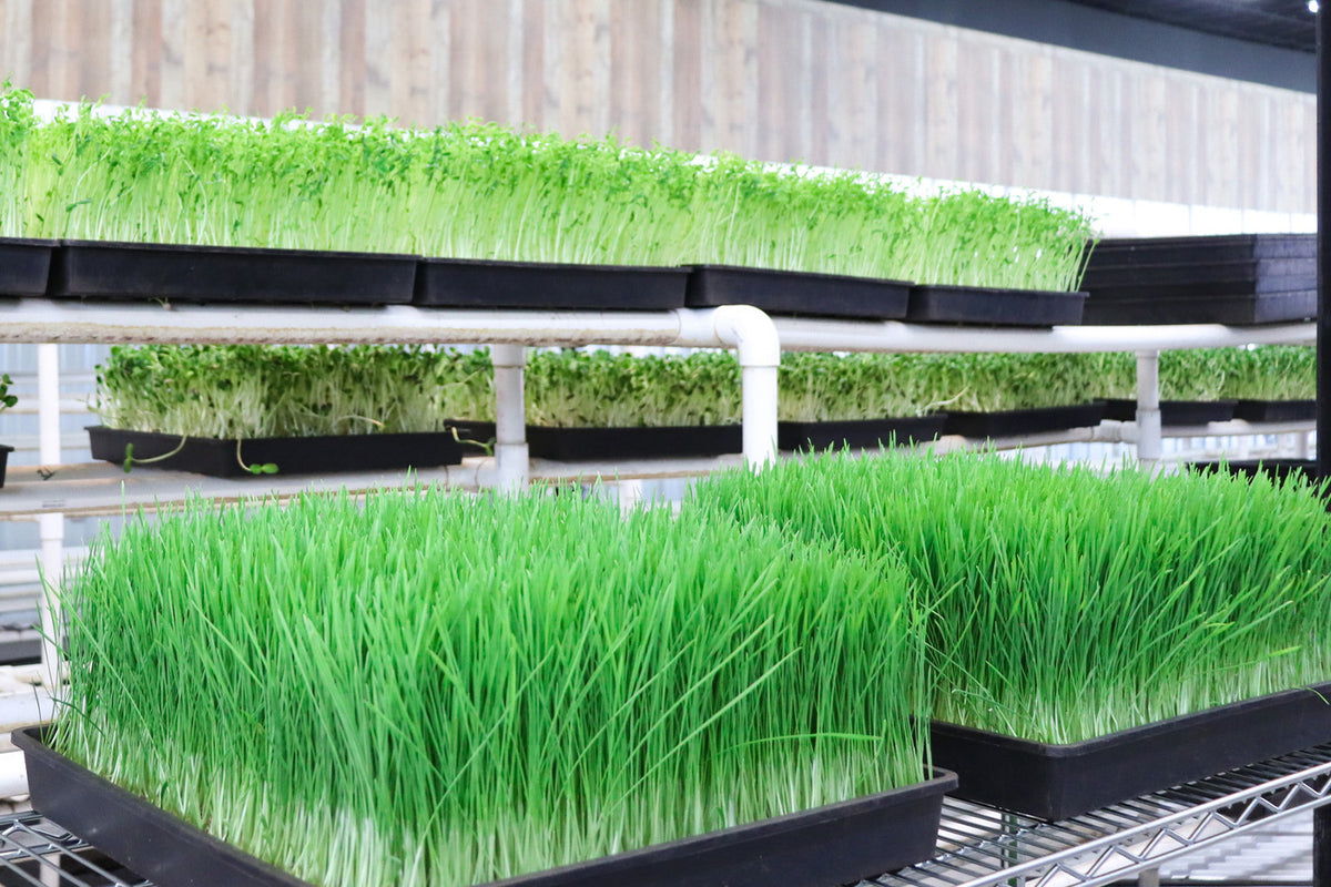 We Control the Journey Because Freshness Depends on It.